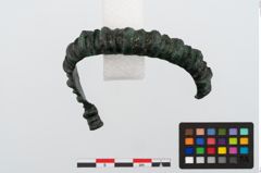 Foto von Bronzearmreif (NHMW-PRAE-024456)